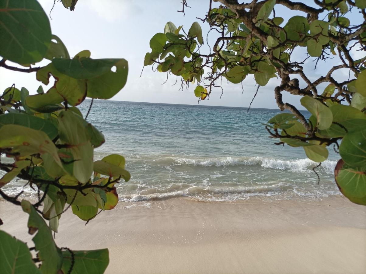 Kaz'Detente, Marie Galante, Plage Kawann Grand-Bourg  Εξωτερικό φωτογραφία